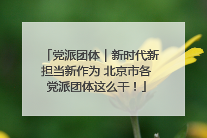 党派团体｜新时代新担当新作为 北京市各党派团体这么干！
